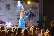 Kouzelnice Radana
